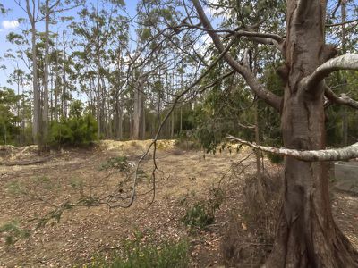 Flakemores Road, Eggs And Bacon Bay