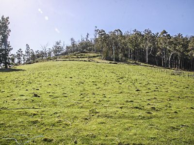 Lot 1 Walters Road, Wattle Grove