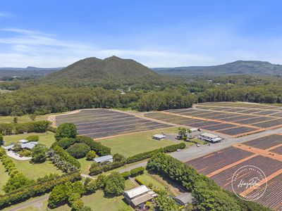 43 Morrison Road, Glass House Mountains
