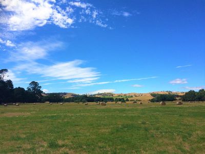Lot 1, 530 Maroondah Highway, Merton