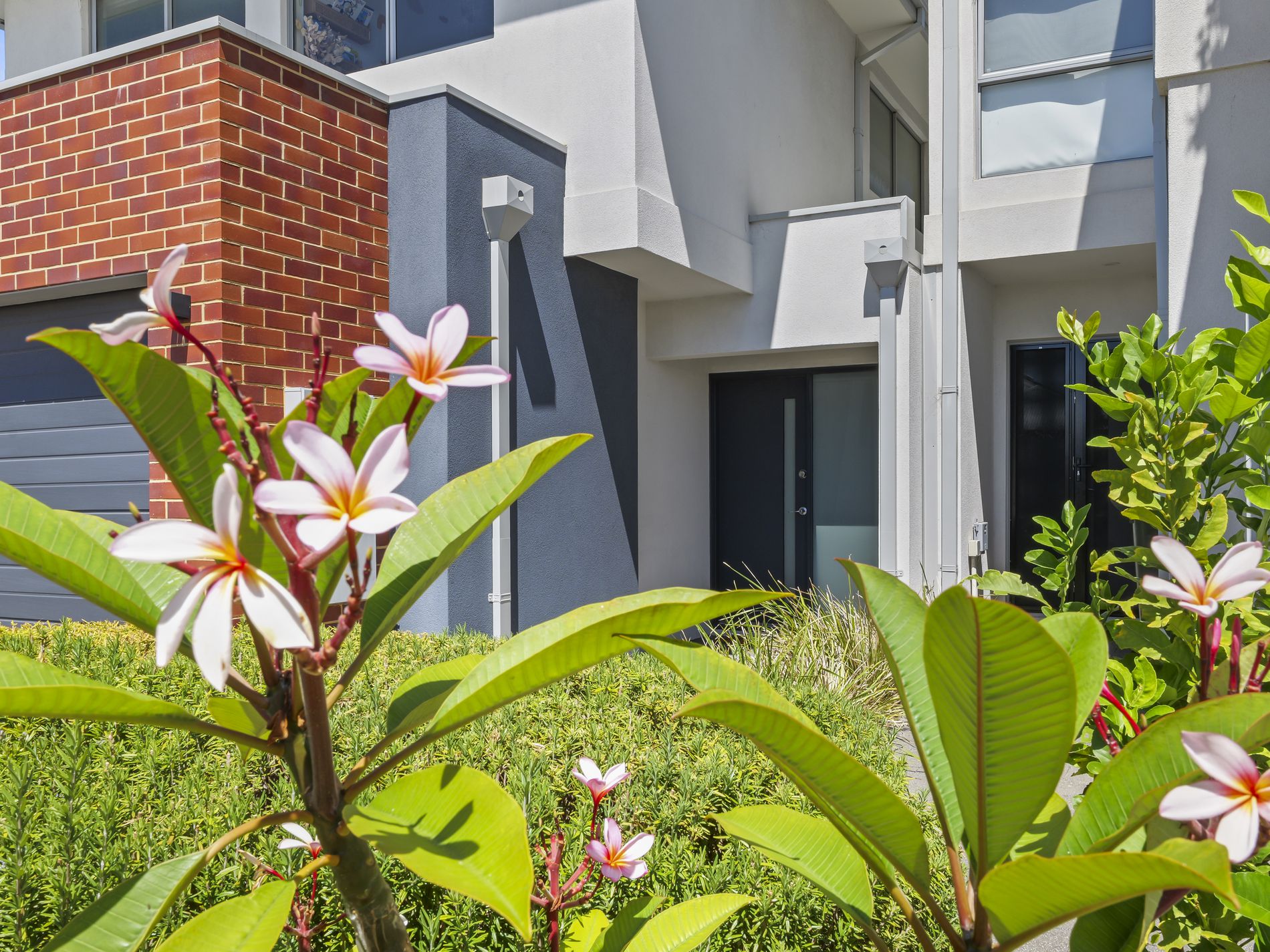 19 Nirvana Way, Willetton