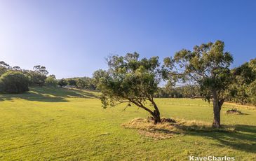 55 Leppitt Road, Pakenham
