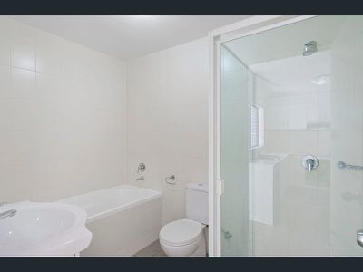 Mount Druitt