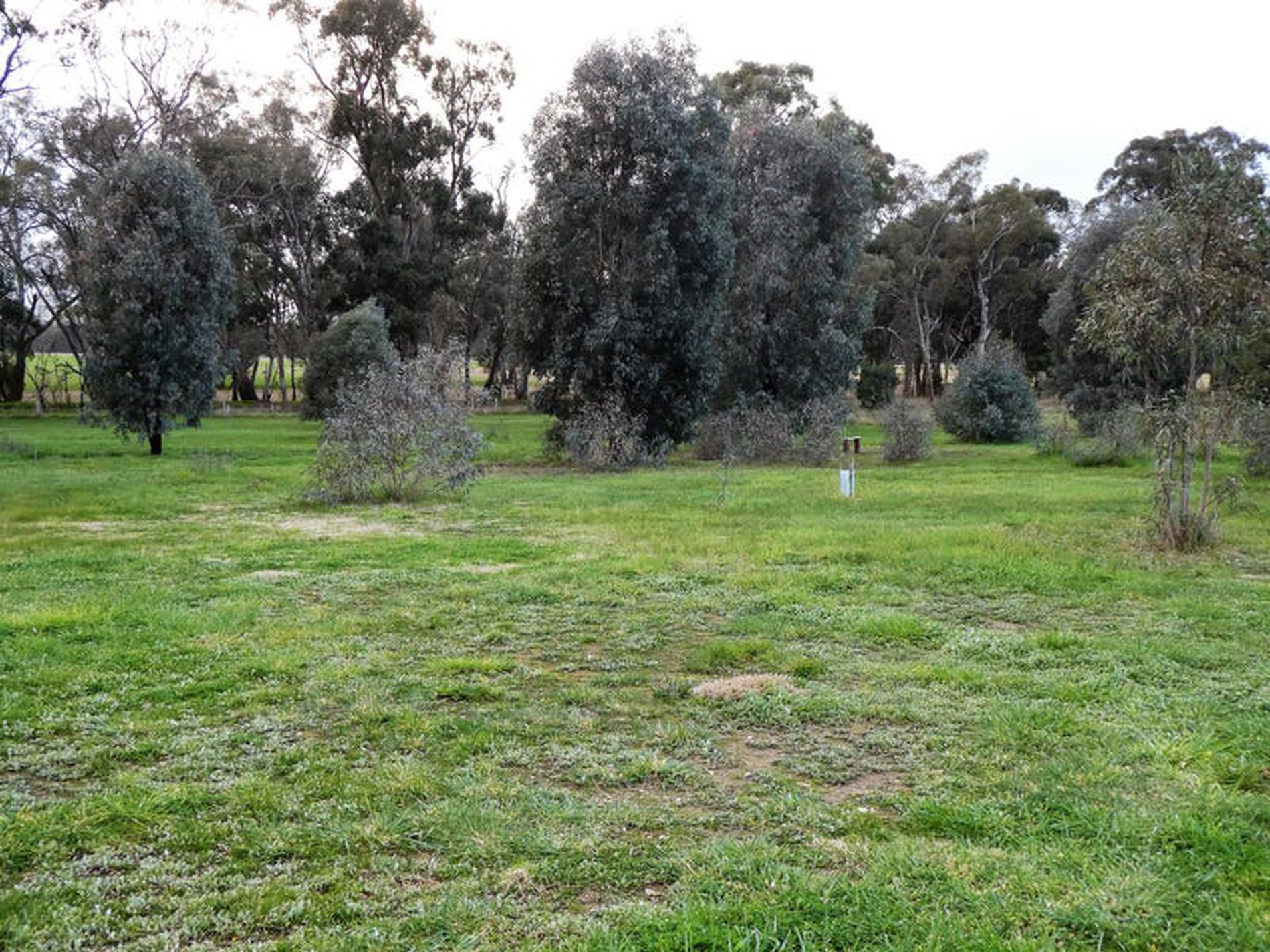 1 Red Box Ct, Seymour