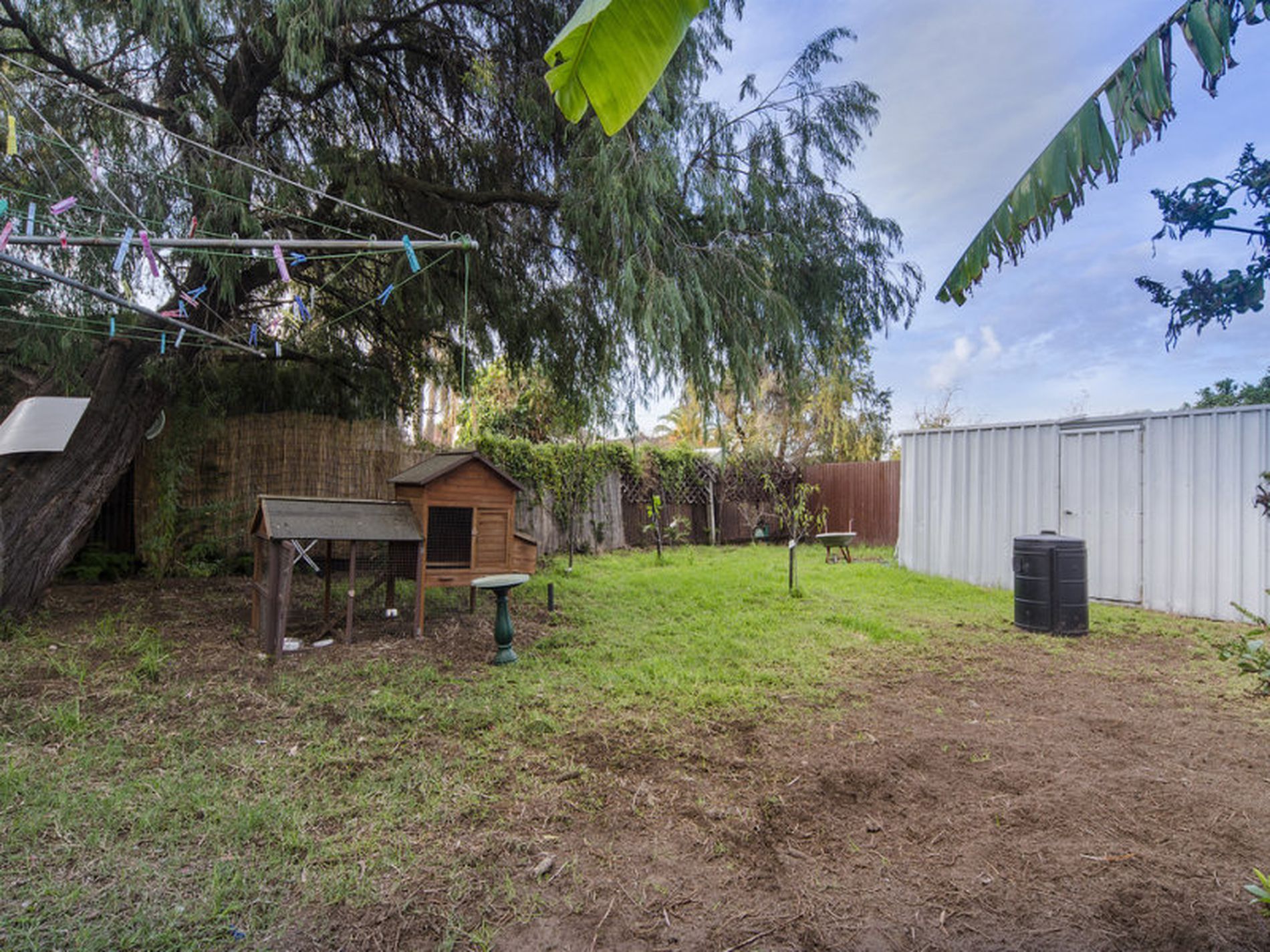 62 Dingera Street, North Plympton