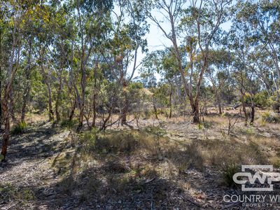 222 Strathbogie Road, Emmaville