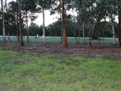 36 Rendelsham Rd, Millicent