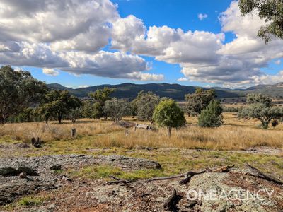 867 Borah Creek Road, Quirindi