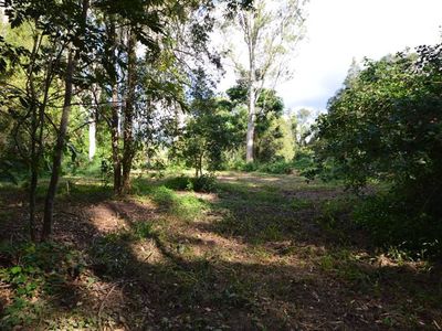42 Yingani Road, Brooloo
