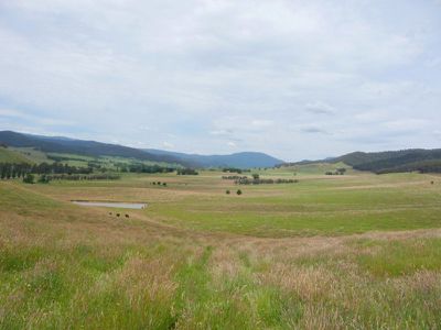 Tallangatta Creek Road, Tallangatta Valley
