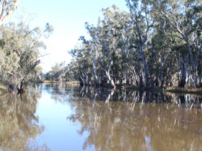 Lot 11, Moulamein