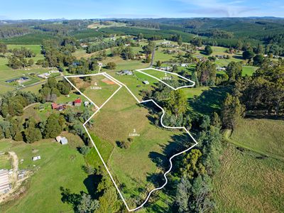Wynyard