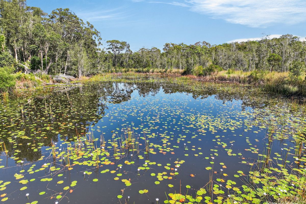 Lot 169 Oakview Drive, Hallidays Point