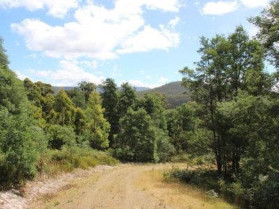 547 She Oak Road, Judbury