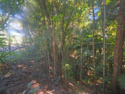 71 GREENDALE COURT, Jubilee Heights