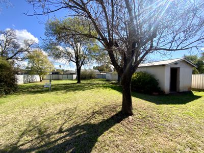 49 Clement Street, Forbes