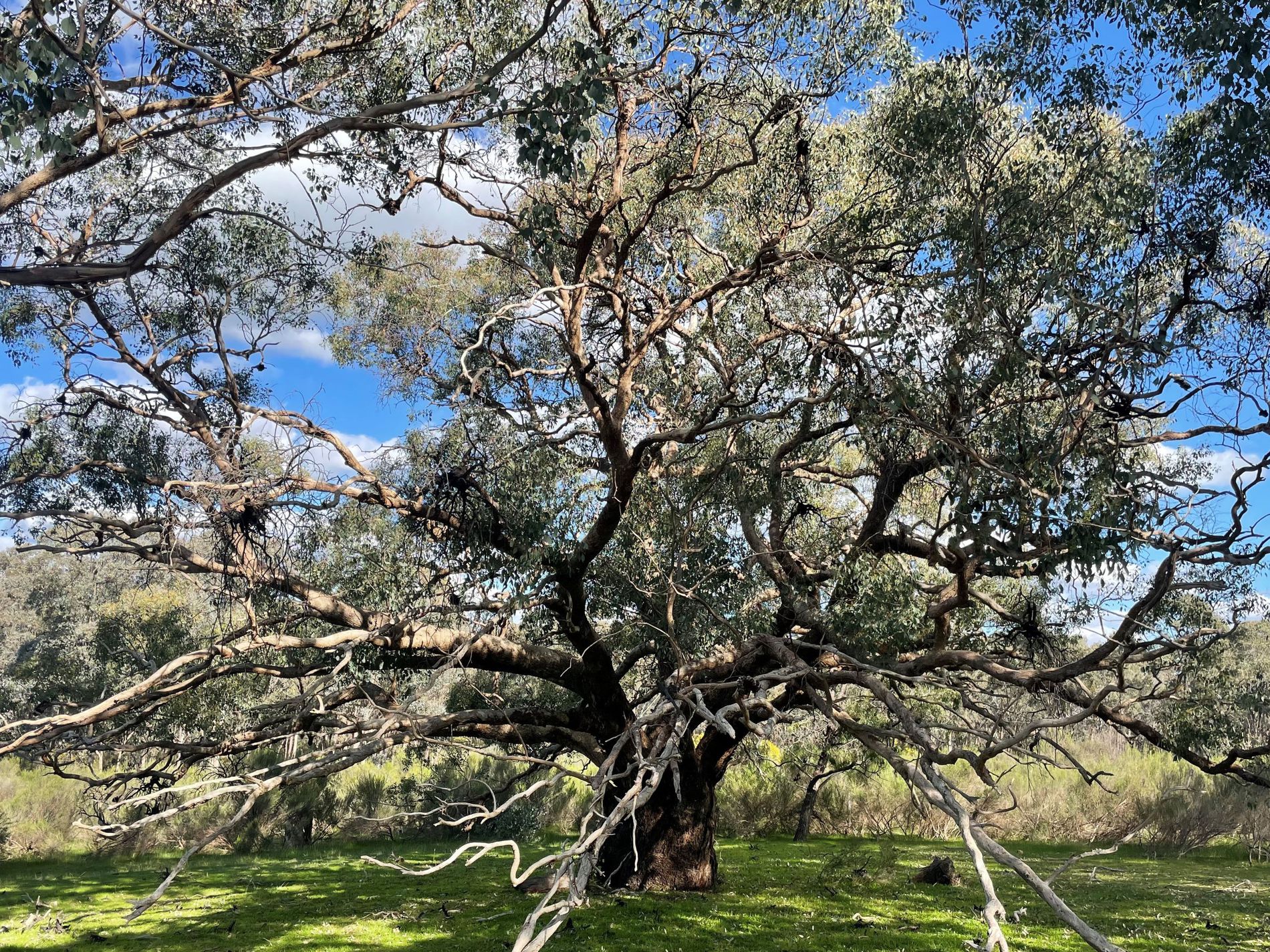 Lot 12 Heathcote-Nagambie Road, Moormbool West