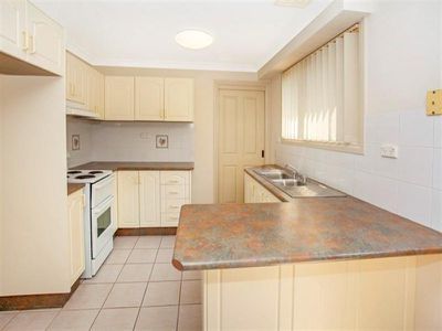 3 / 10 Platypus  Cl, Figtree