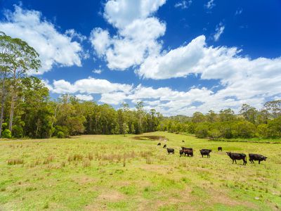 931 Eumundi Kenilworth Road, Belli Park