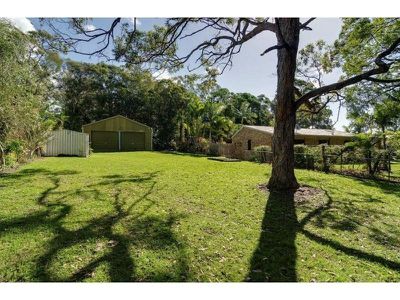33 Crank Street, Tewantin