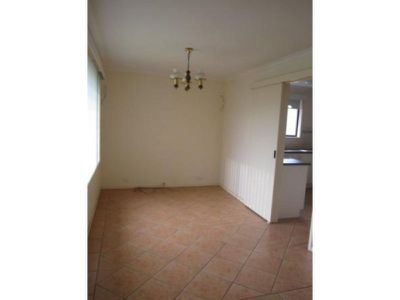 Mount Warrigal