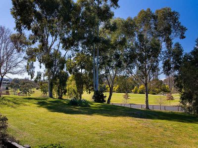 Lavington