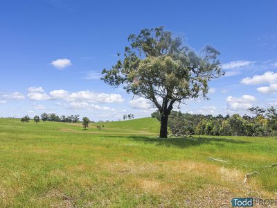 5600 Northern Highway, Tooborac