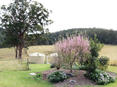 551 Possum Brush Road, Possum Brush
