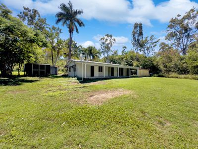 345 Midge Point Road, Bloomsbury