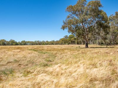 Mansfield Road, Euroa