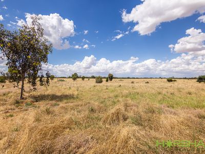 3861 Nhill-Jeparit Road, Jeparit