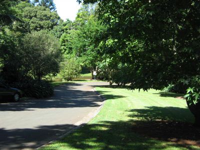 The Rangers, Montville