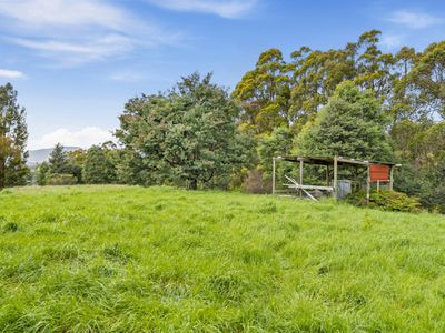 351 Golden Valley Road, Cygnet