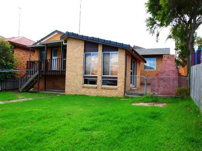 Mount Warrigal