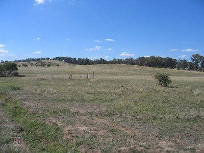 CA 11 DOWDS LANE, Mount Camel