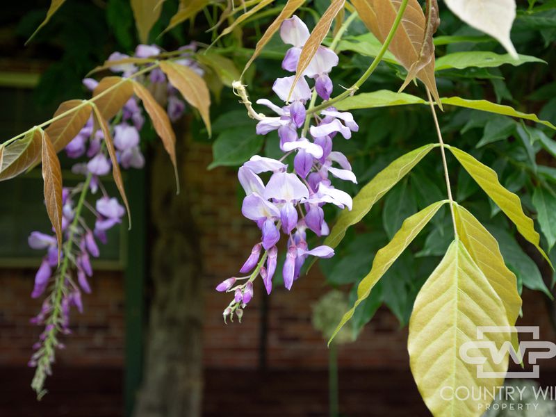 48 Cramsie Crescent, Glen Innes