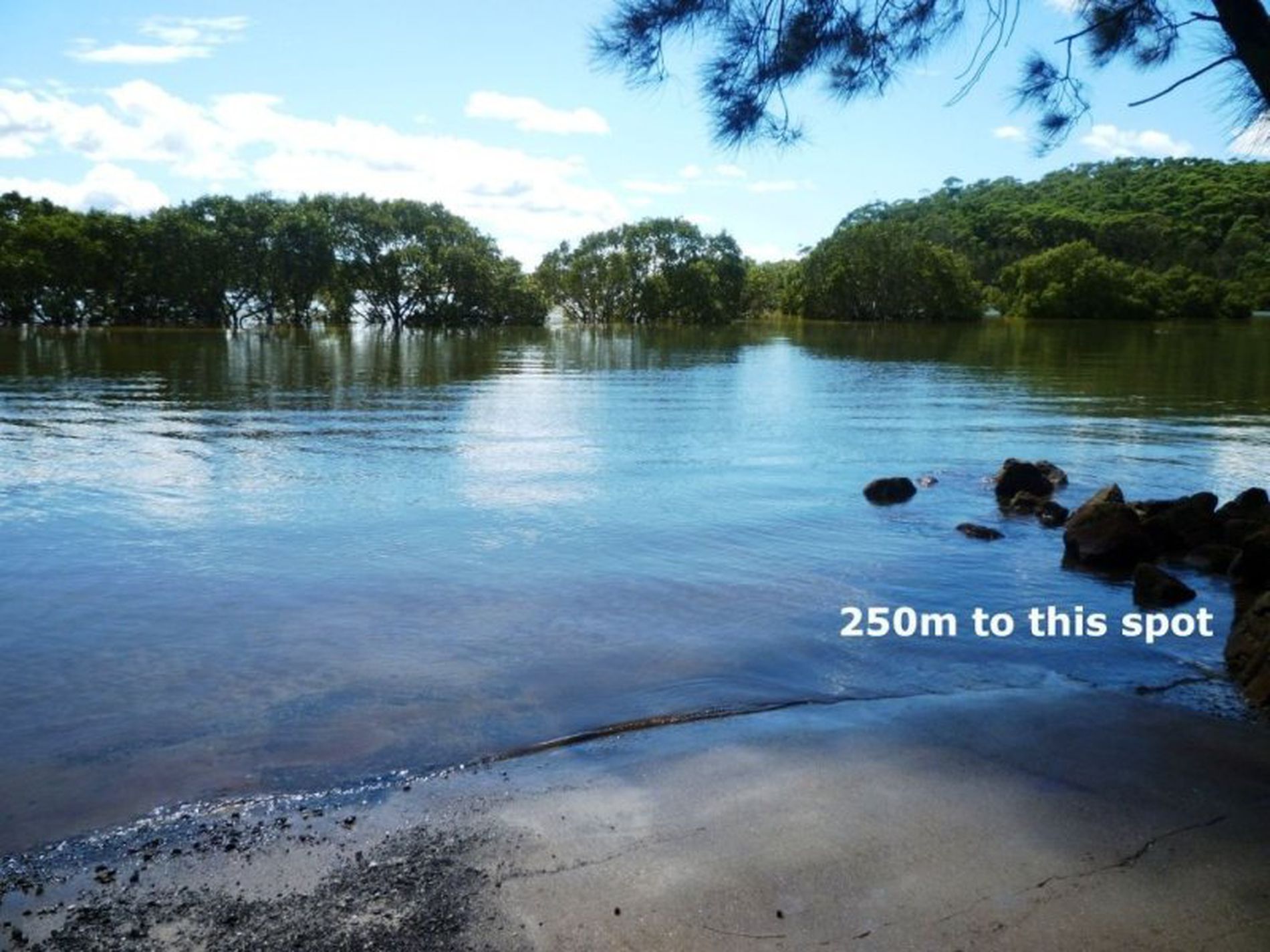 11 Bangalow Street, Narrawallee