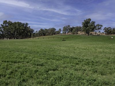 2271 Snow Road, Markwood