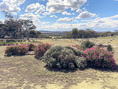 803 Snows Road, Gillimanning