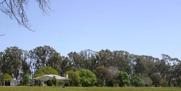 1170 Shepparton-Euroa Road, Shepparton