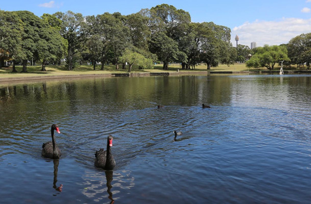 5B / 105 Cook Road, Centennial Park