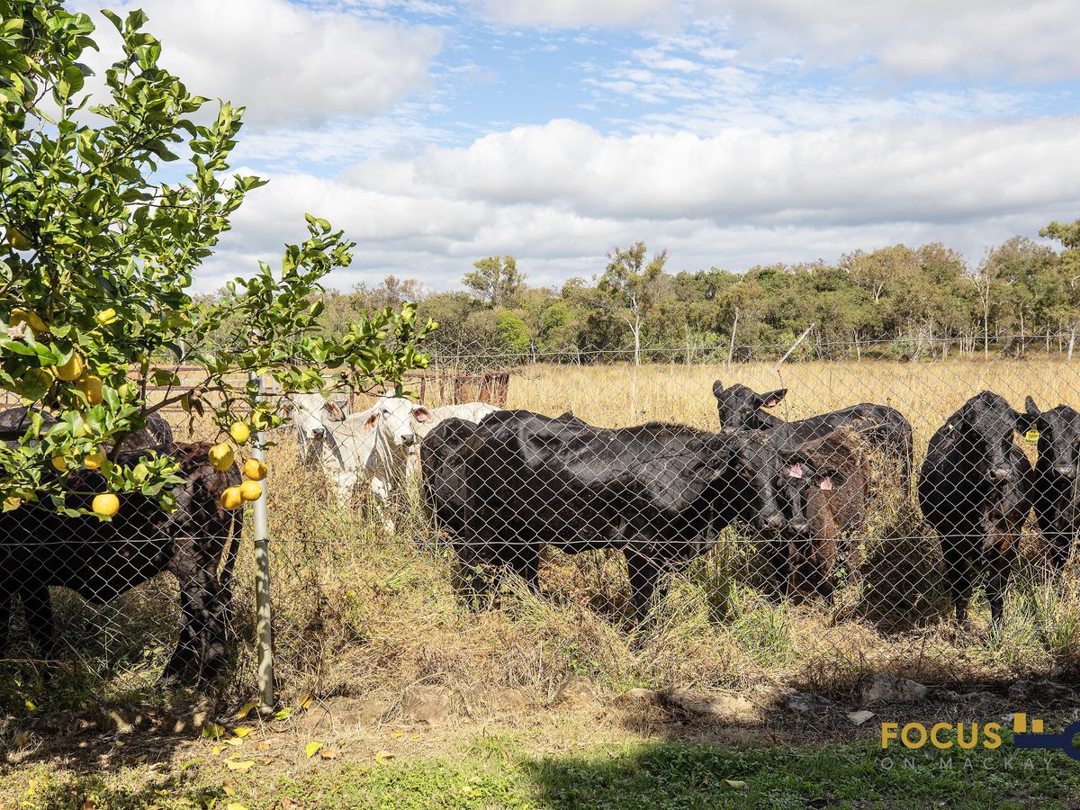 26 Austin Road, Victoria Plains