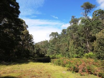 Lot 19 Waggs Gully Road, Ranelagh