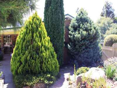 95 Misty Hill Road, Mountain River