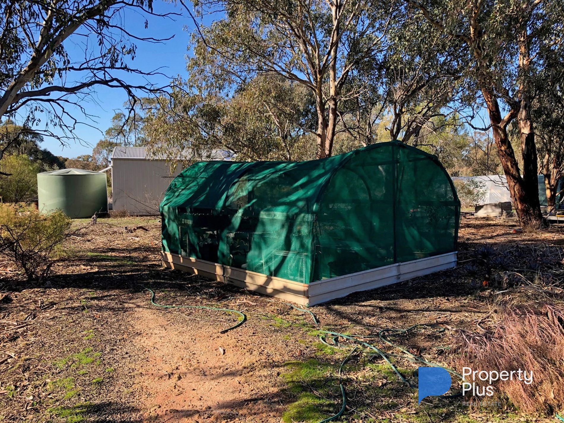 814 Brenanah-Wehla Road, Brenanah