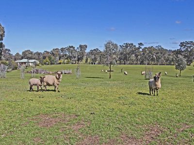 32 Horsburgh Court, Heathcote