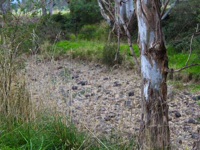 Lot 2, 109 Lot 2, 109 Main Road, Tallarook