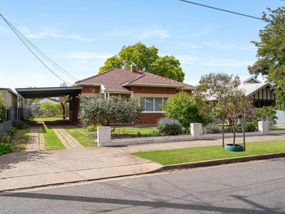 19 Dumbarton Avenue, Edwardstown