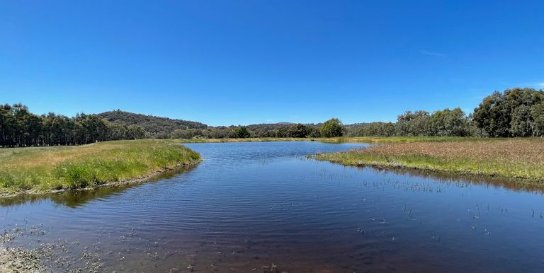 588 Euroa Mansfield Road, Euroa