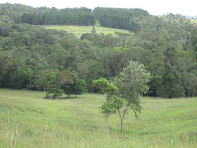 Yungaburra